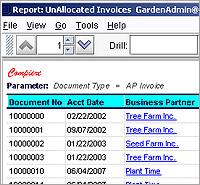ERP software demo - Accounts Payable Report and Icon Description